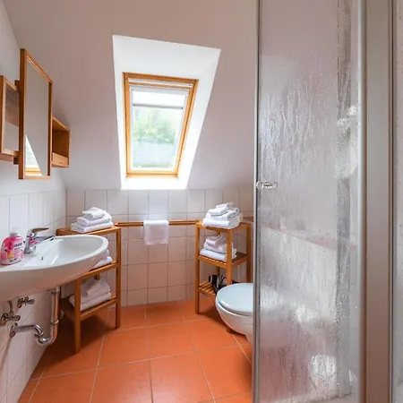 Sonnenblume_dh * Röbel